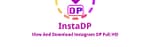 Everything You Need to Know About insatadp.com – Features, Usage, and Complete Guide